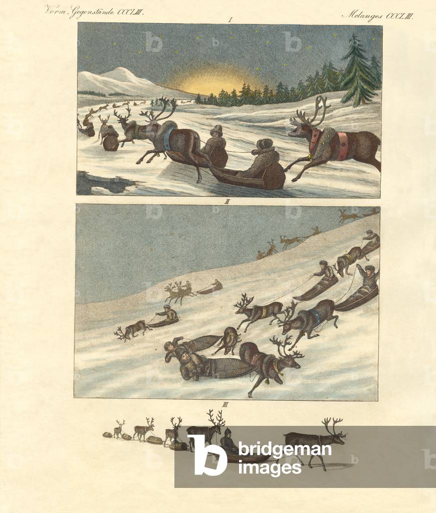 Winter trips in Lapland (coloured engraving)