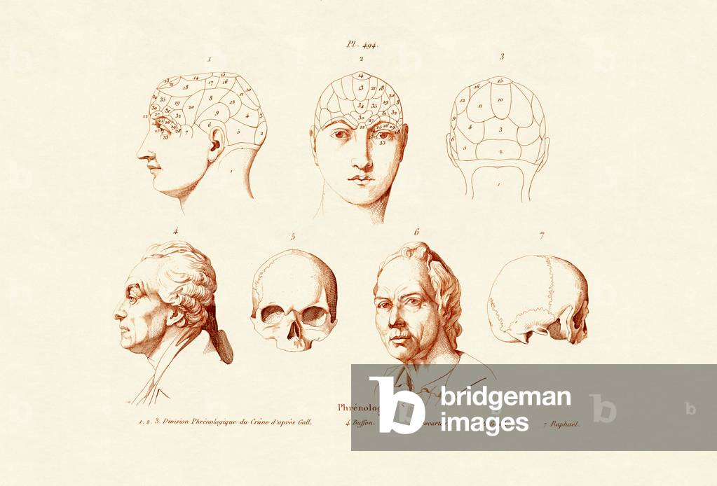 Phrenology, 1833-39 (coloured engraving)