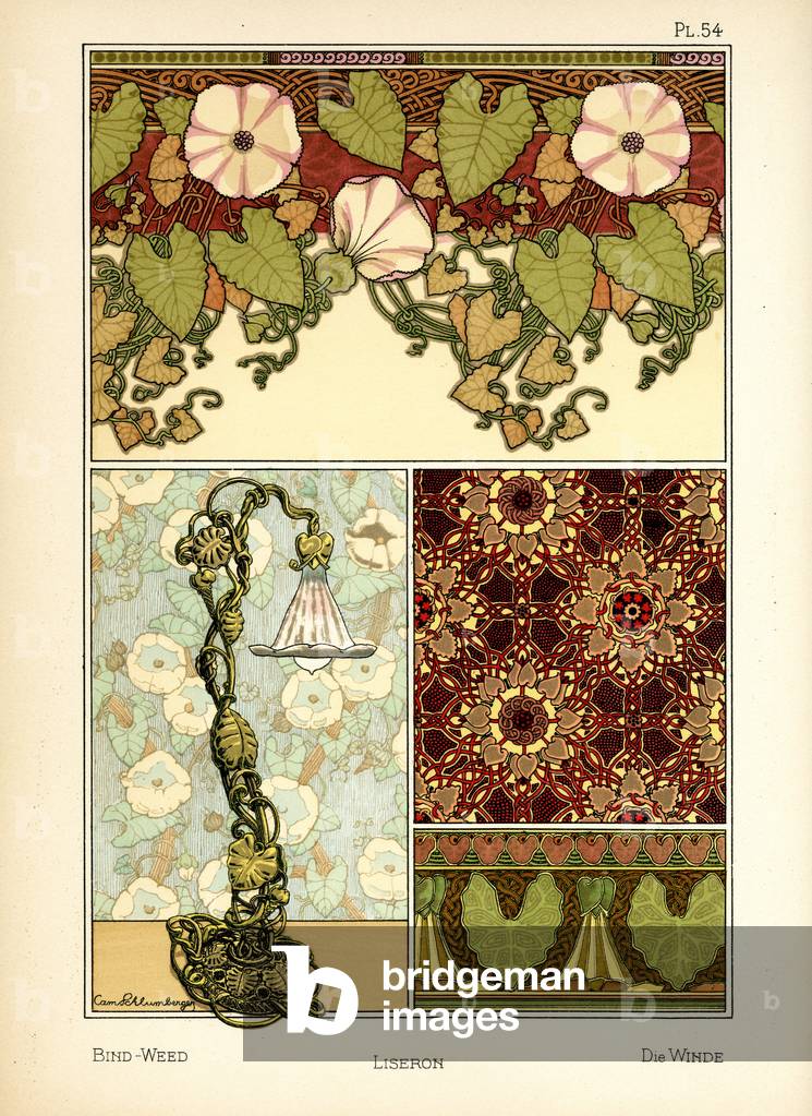 The Bindweed (colour litho)