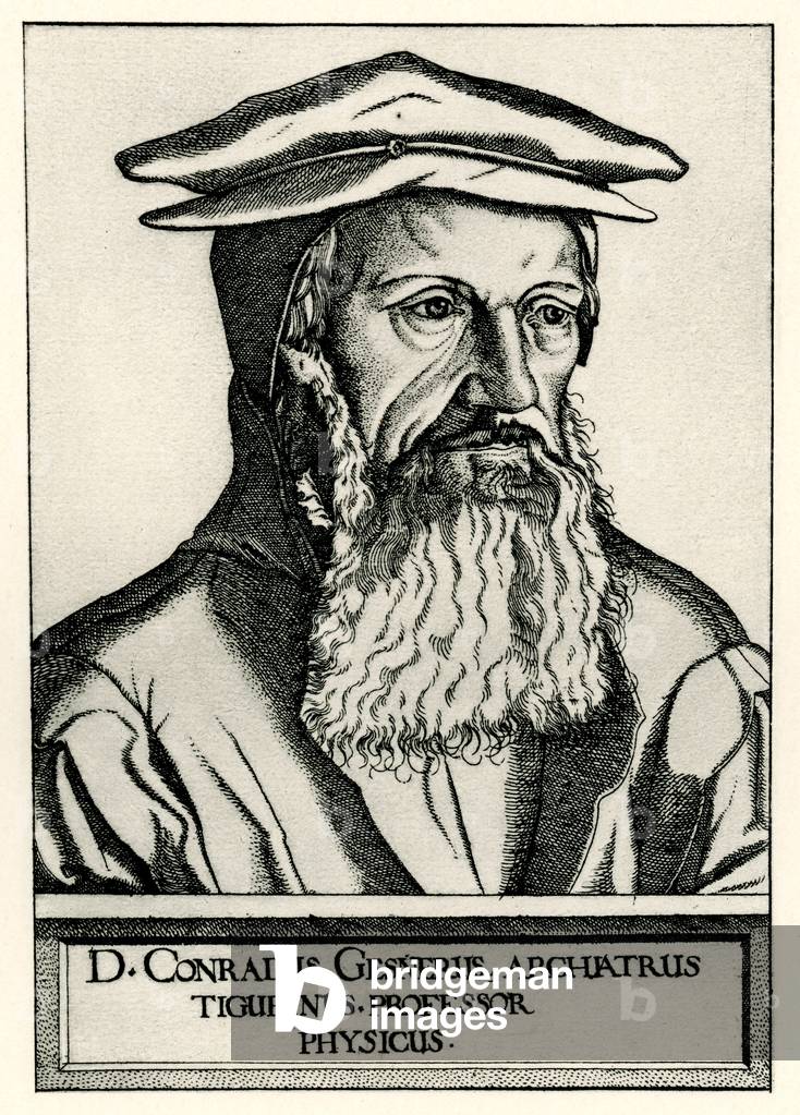 Konrad Gesner, 1884-90 (phototype)