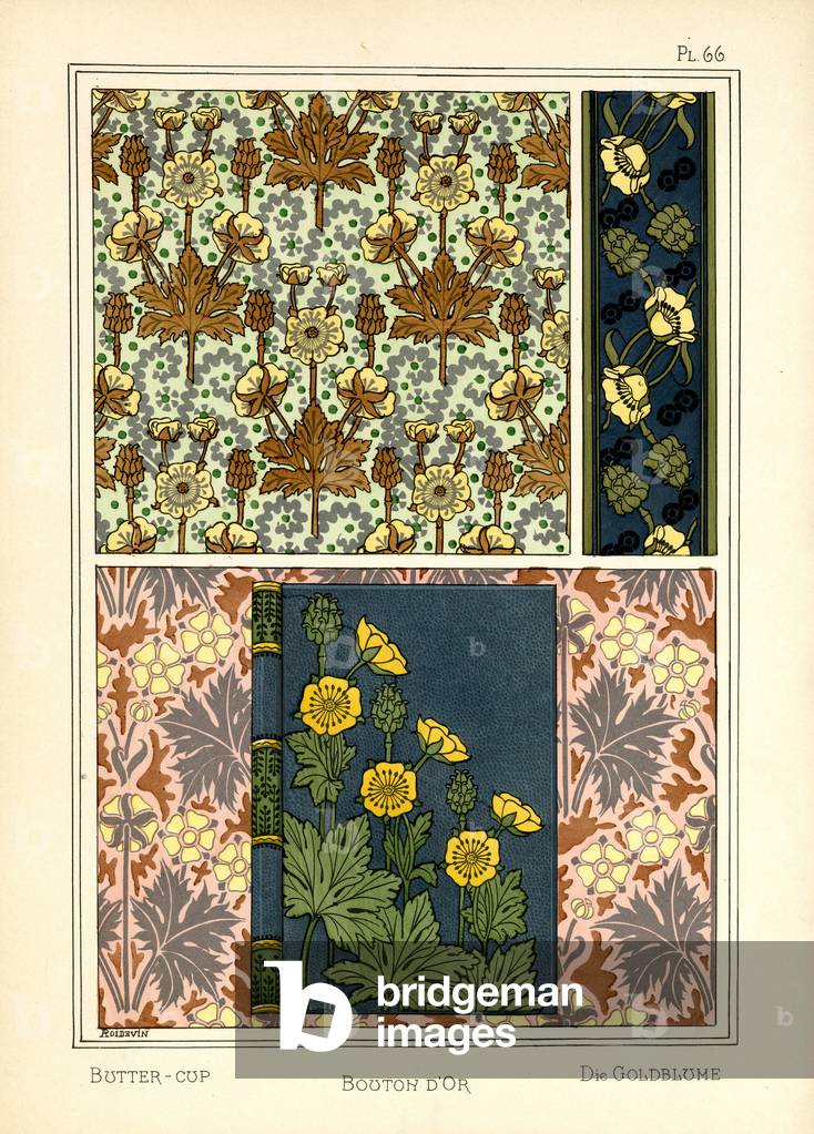 The Buttercup (colour litho)