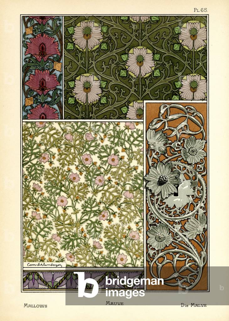 The Mallow (colour litho)