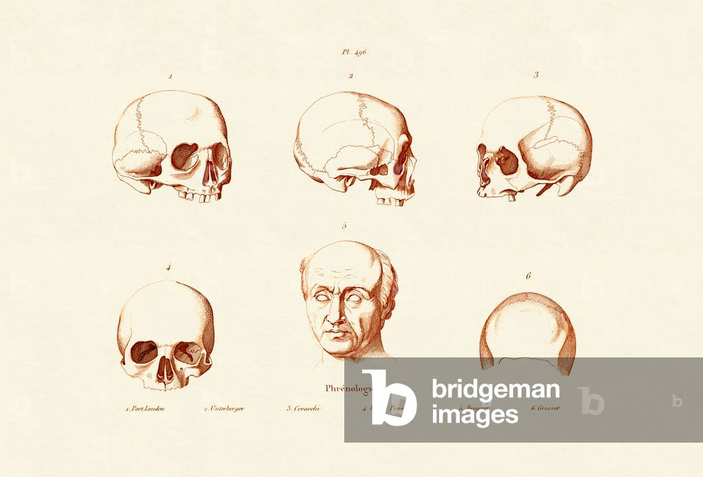 Phrenology, 1833-39 (coloured engraving)