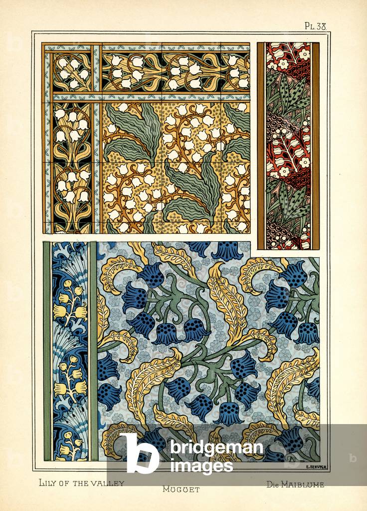 The Lily of the Valley (colour litho)