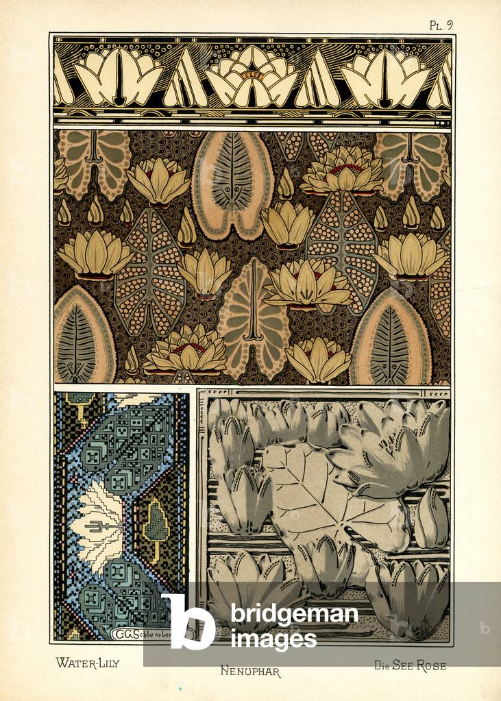 The Water Lily (colour litho)