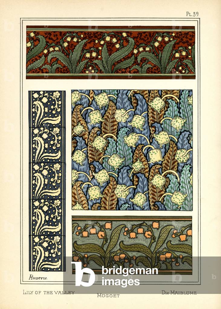 The Lily of the Valley (colour litho)