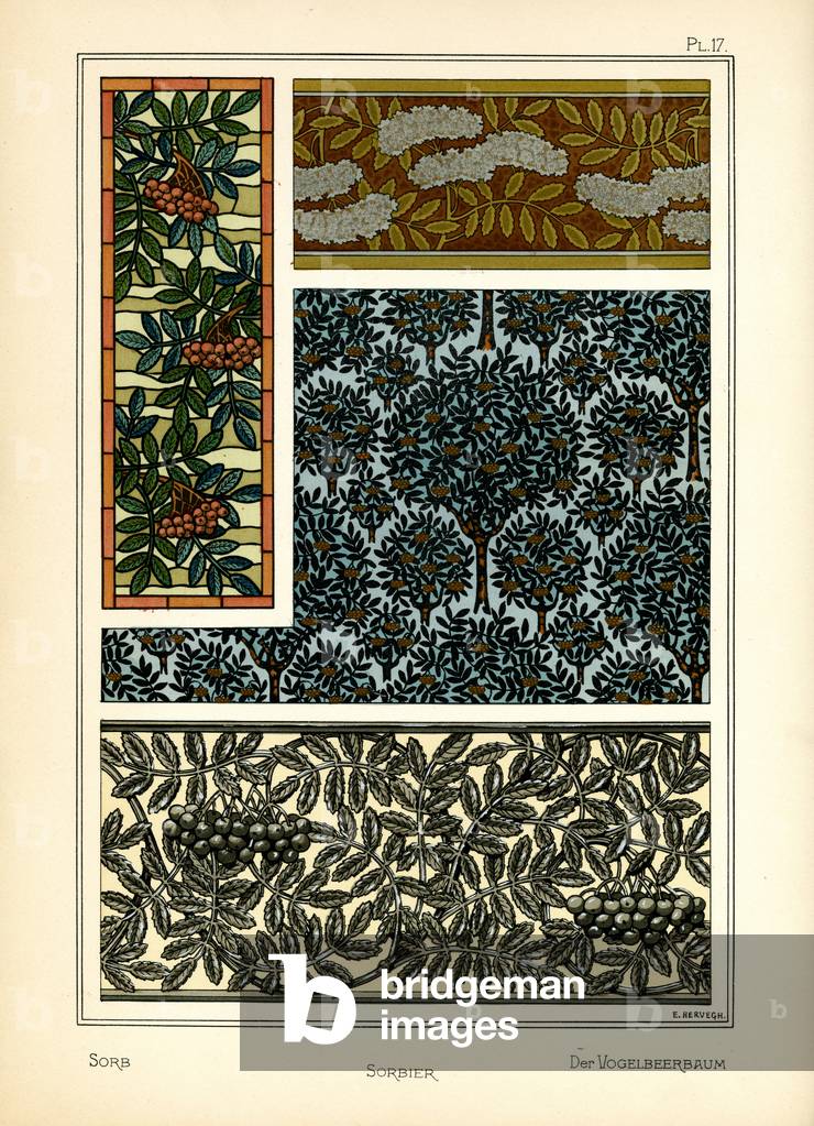 The Sorb (colour litho)