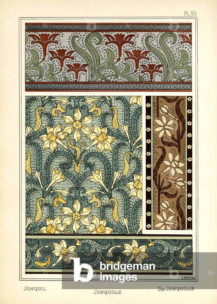 The Jonquil (colour litho)