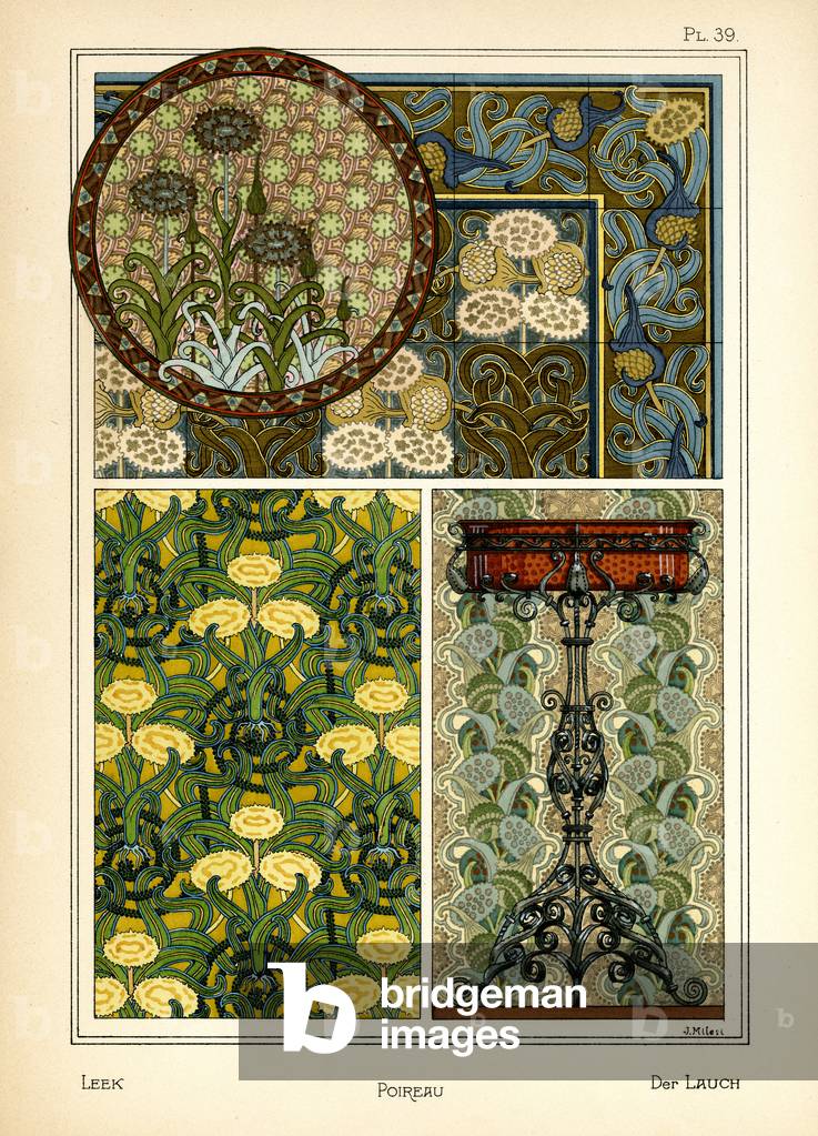 The Leek (colour litho)