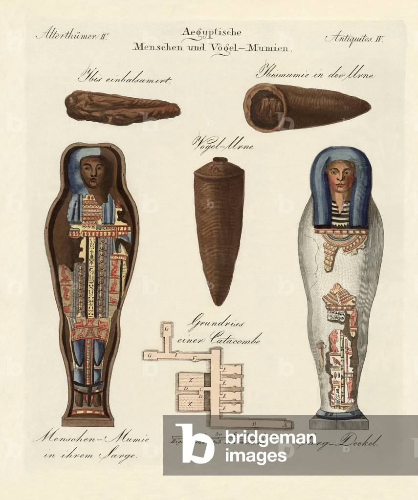 Egyptian mummies (coloured engraving)