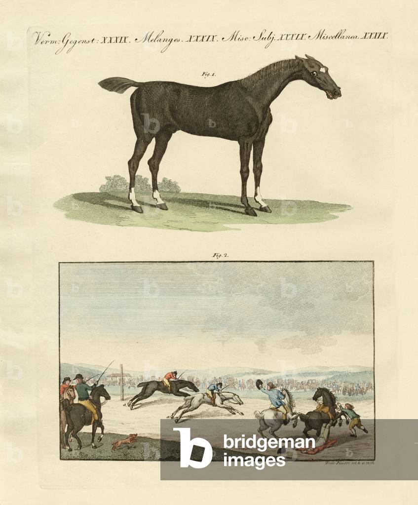 Horse races in England (coloured engraving)