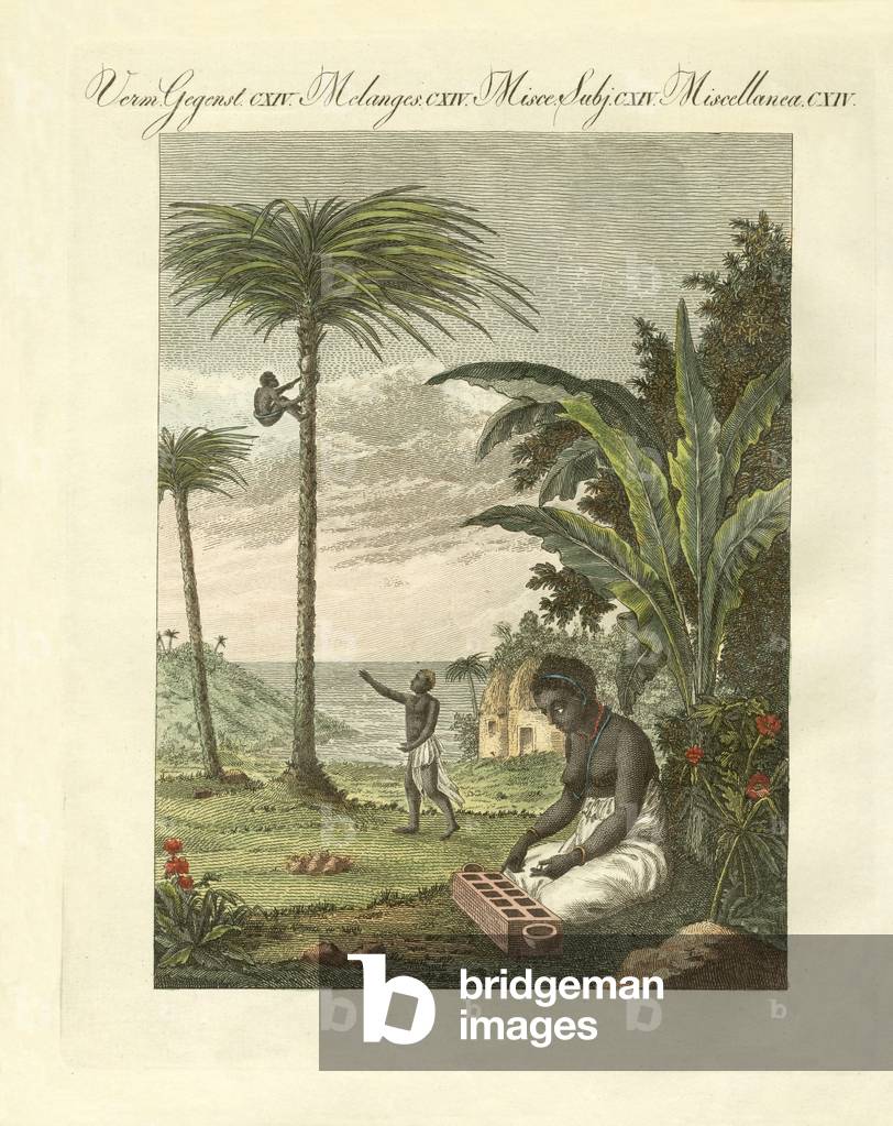 Scenes from Africa (coloured engraving)