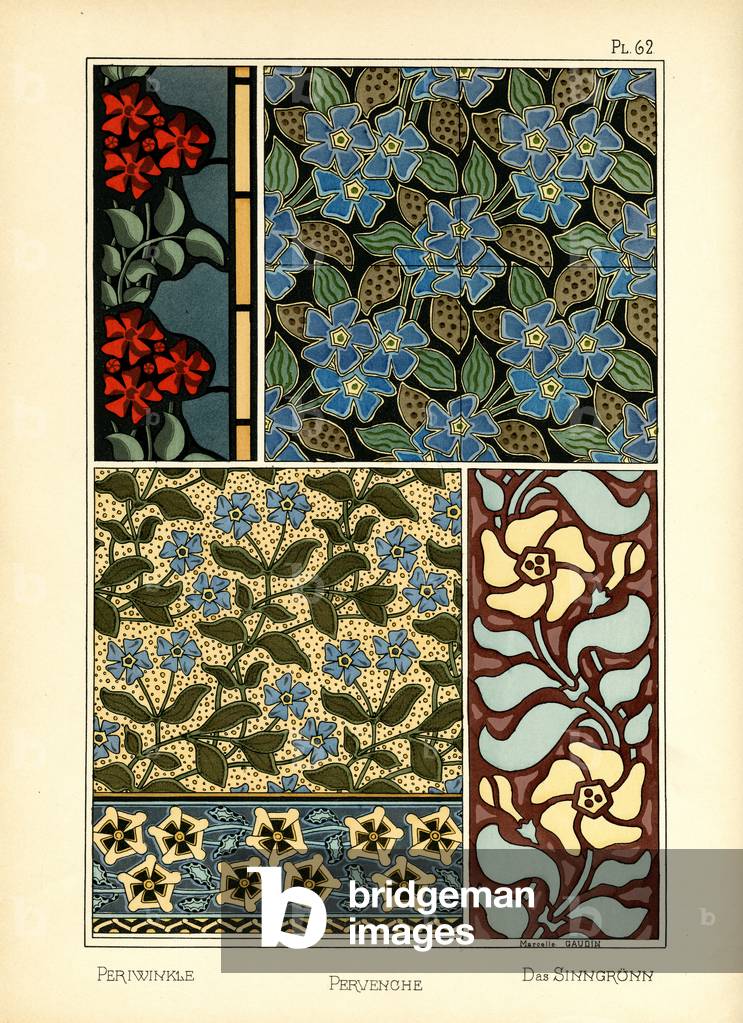 The Periwinkle (colour litho)