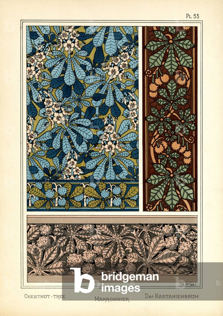 The Chestnut Tree (colour litho)