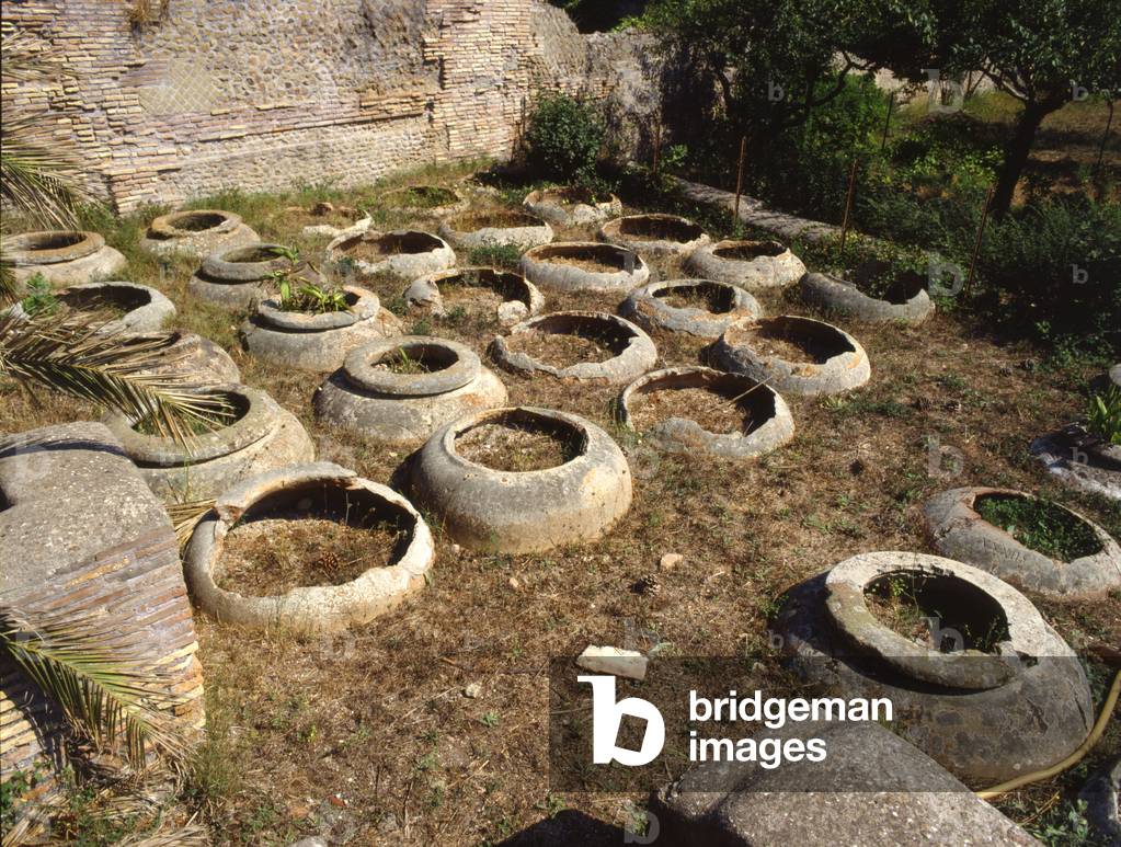 Warehouses of Dolii, Ostia Antica, Italy (photo)