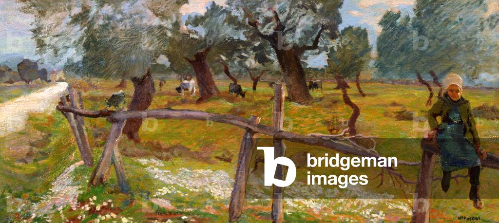 Olive Grove with Peasant (oil on canvas)