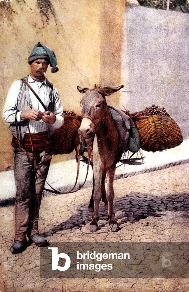Fruits seller and his donkey from Lisbon, early 20th century (photo)