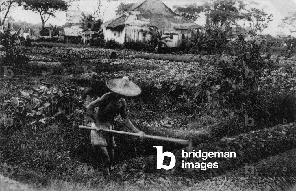 Chinese farmer, Singapore, c. 1900 (b/w photo)