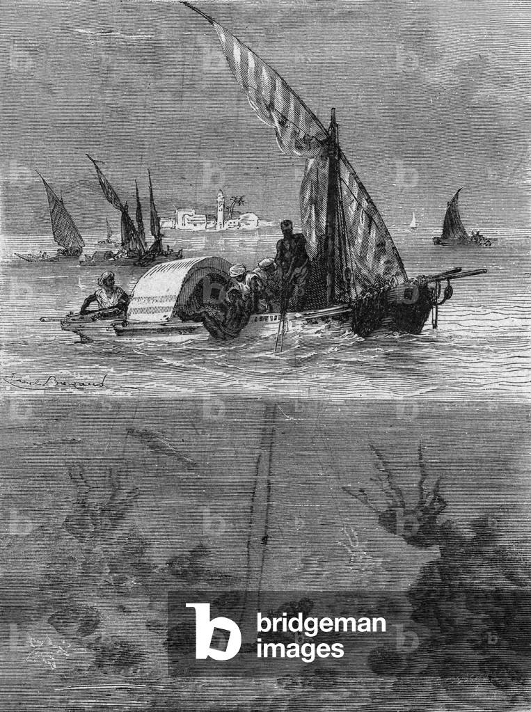 Fishing of sponges in Africa, engraving, 19th century