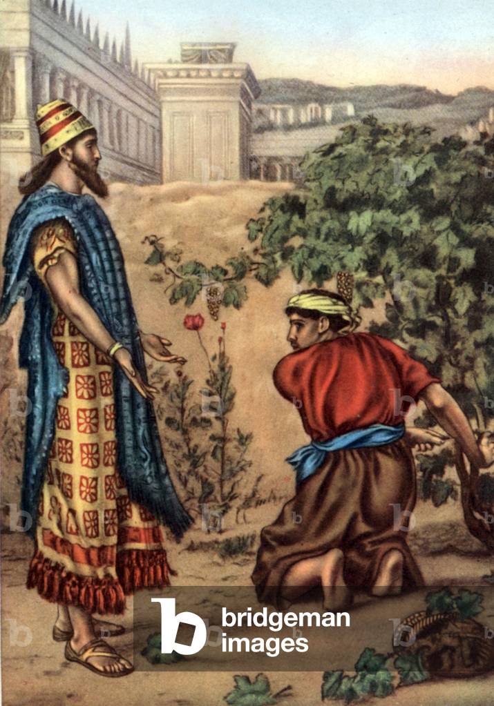 Set of biblical educational Postcards in the 50's (print)