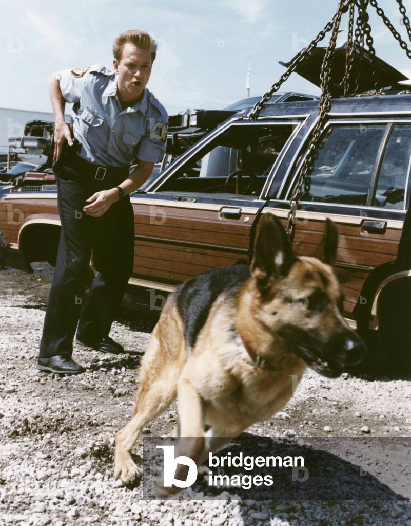 Rintintin junior avec Jesse Collins, 1985