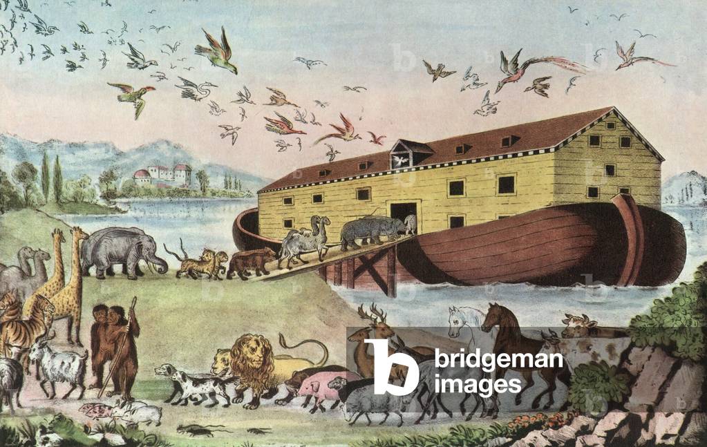 Bible, Old Testament, Genesis: Noah's ark, engraving from book 