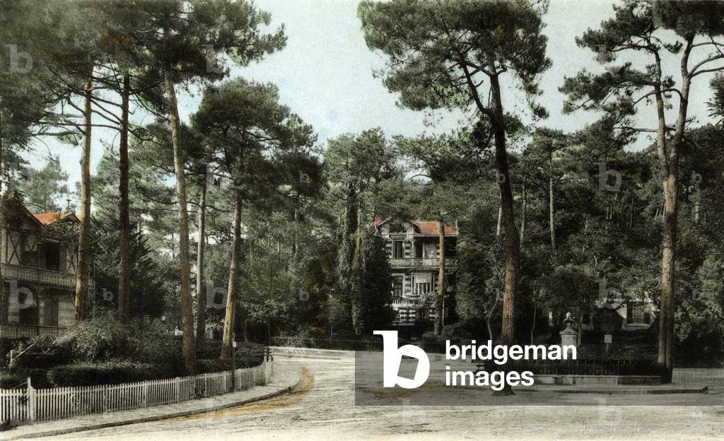 Square and statue of Bremontier in Arcachon (France), Postcard, 10's