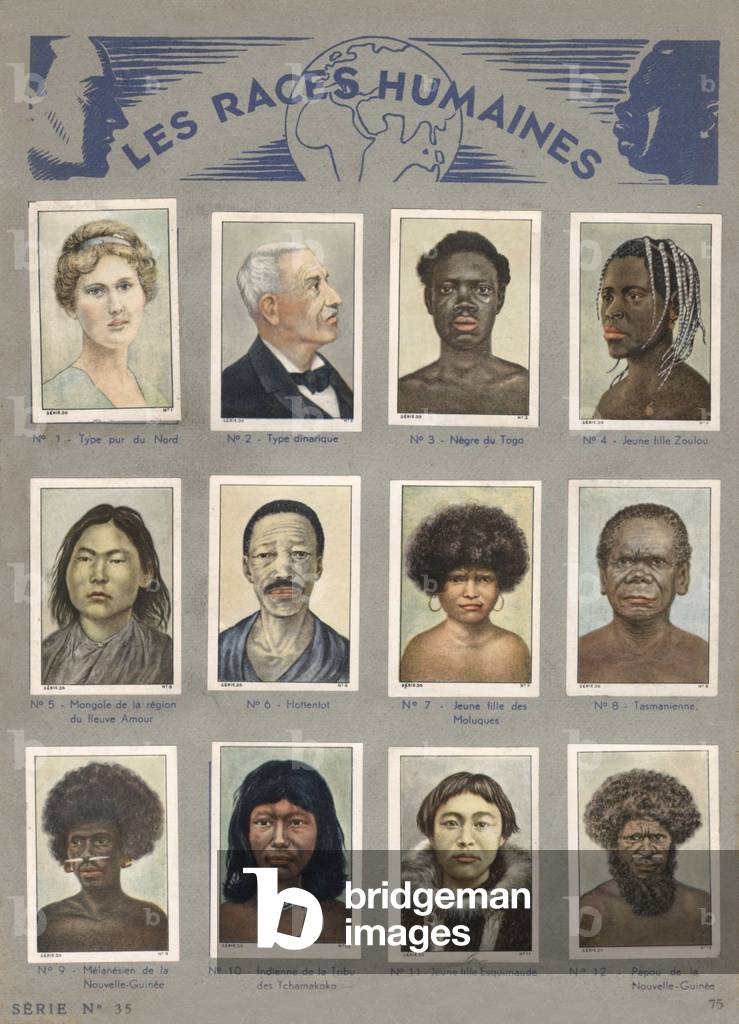 5 human races