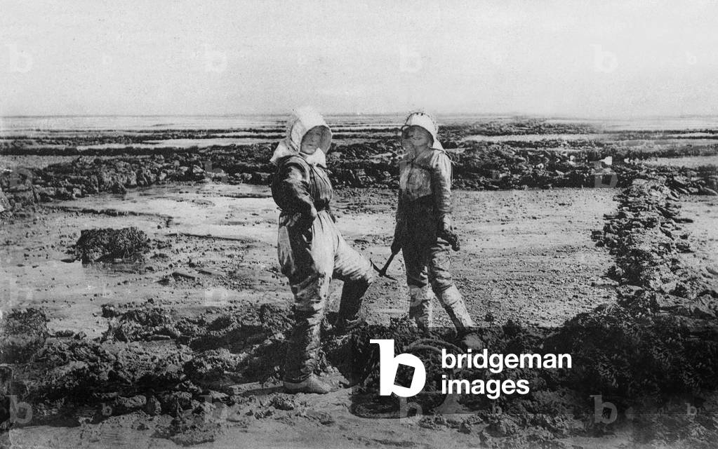 oyster fisherman on Charente coast, early 20th century,Postcard