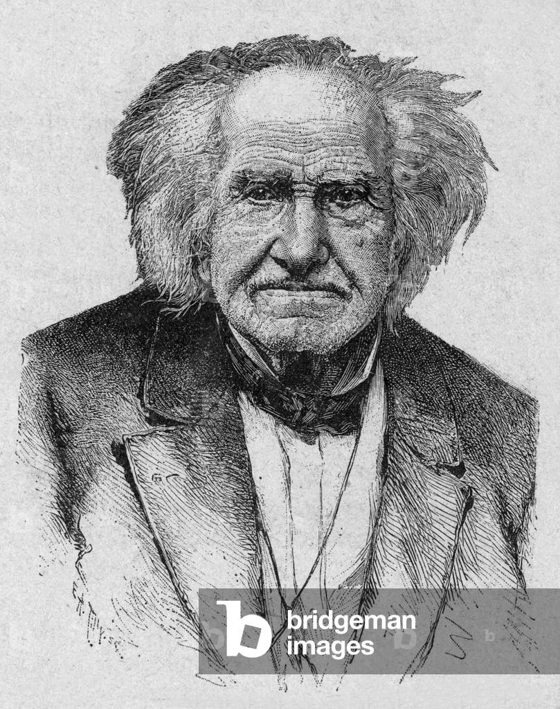 Michel Eugene Chevreul (1786-1889) french chemist (soap, theory of colors), engraving, 1899