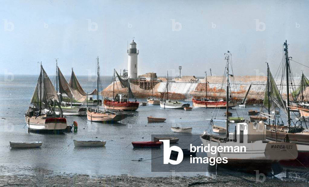 Oleron island (France): the harbour of la cotiniere, Postcard, 60's