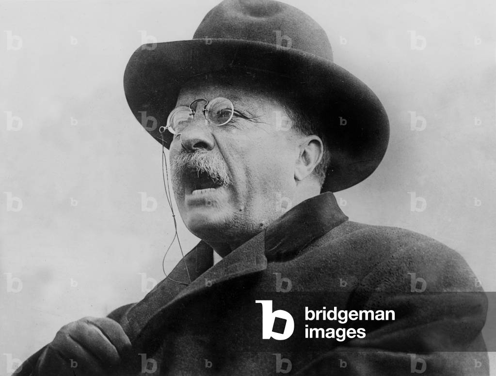 Theodore Roosevelt (1858-1919) 26th american president from 1901 to 1909
