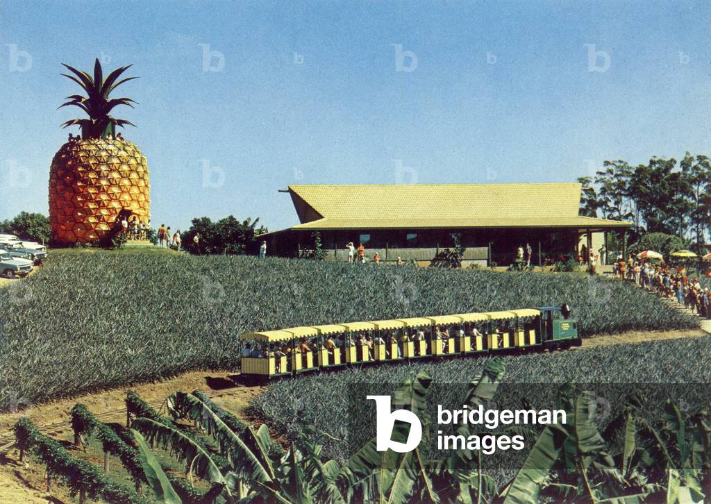 Nambour, Australia: Sunshine plantation, c. 1975 (postcard)