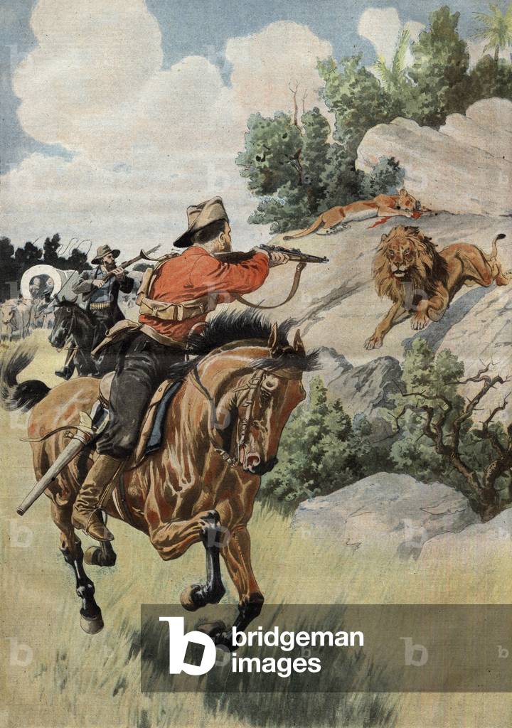 Lion hunting in Transvaal (South Africa), illustration from french newspaper 