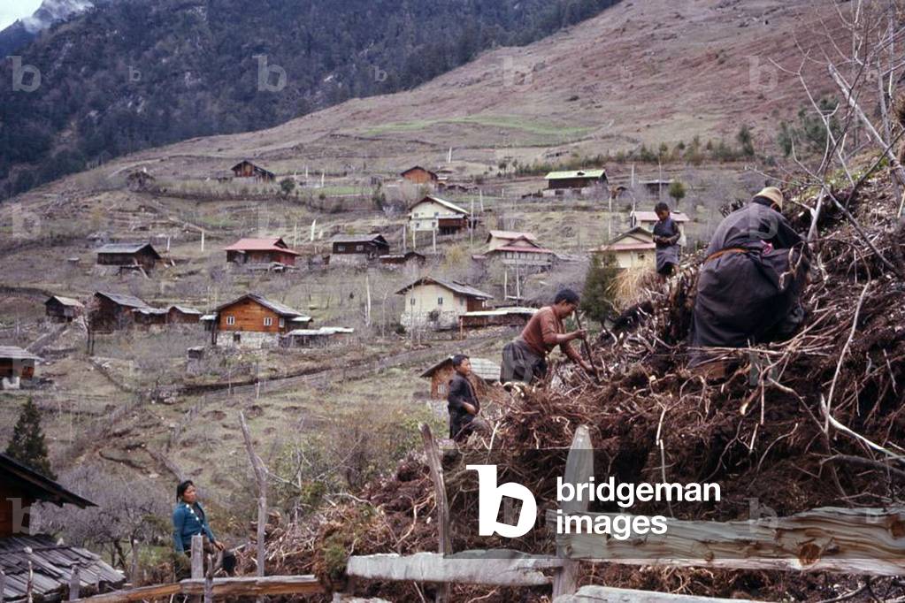 Jorbu family, digging in pile, Lachung, 1971 (photo)