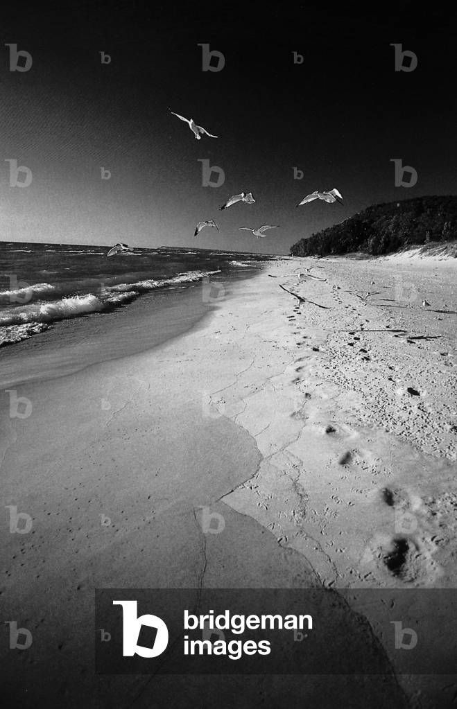 Ontario lake in Canada (b/w photo)