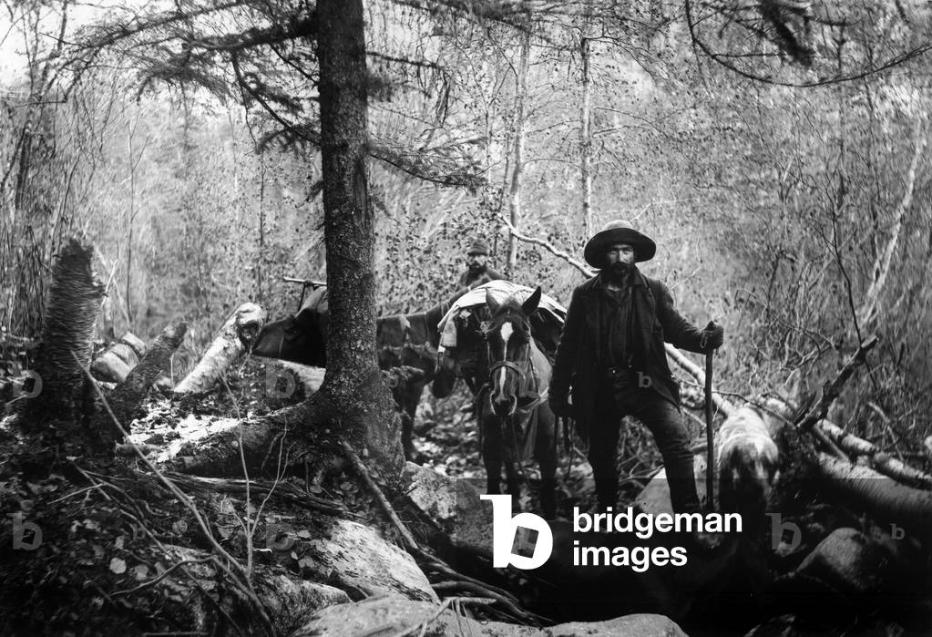gold-diggers climbing up towars White pass at border between Alaska and Canada, on the way to Klondyke (NWT, Canada) where they are going to find gold: the dog on l and horses won't survive to this painful stage, 1897