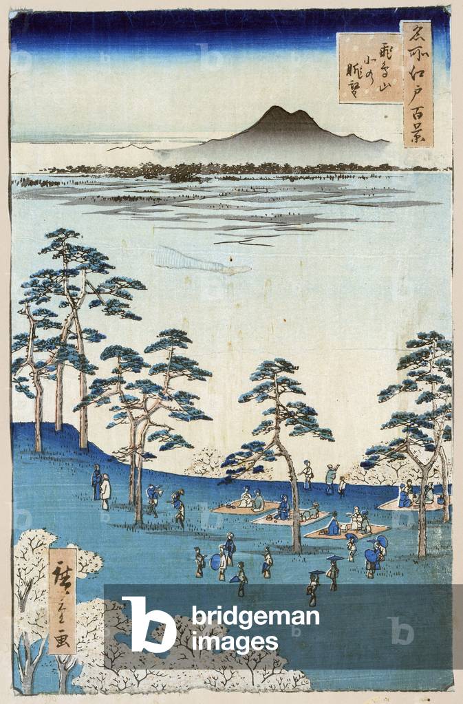 View to the north from Asukayama, 1856 (print)