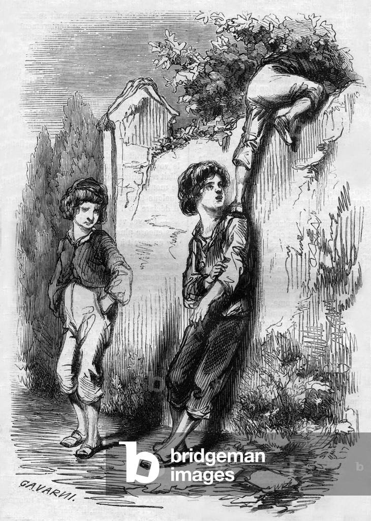 Polyte and Zozo stealing plums, 1853-54 (engraving)