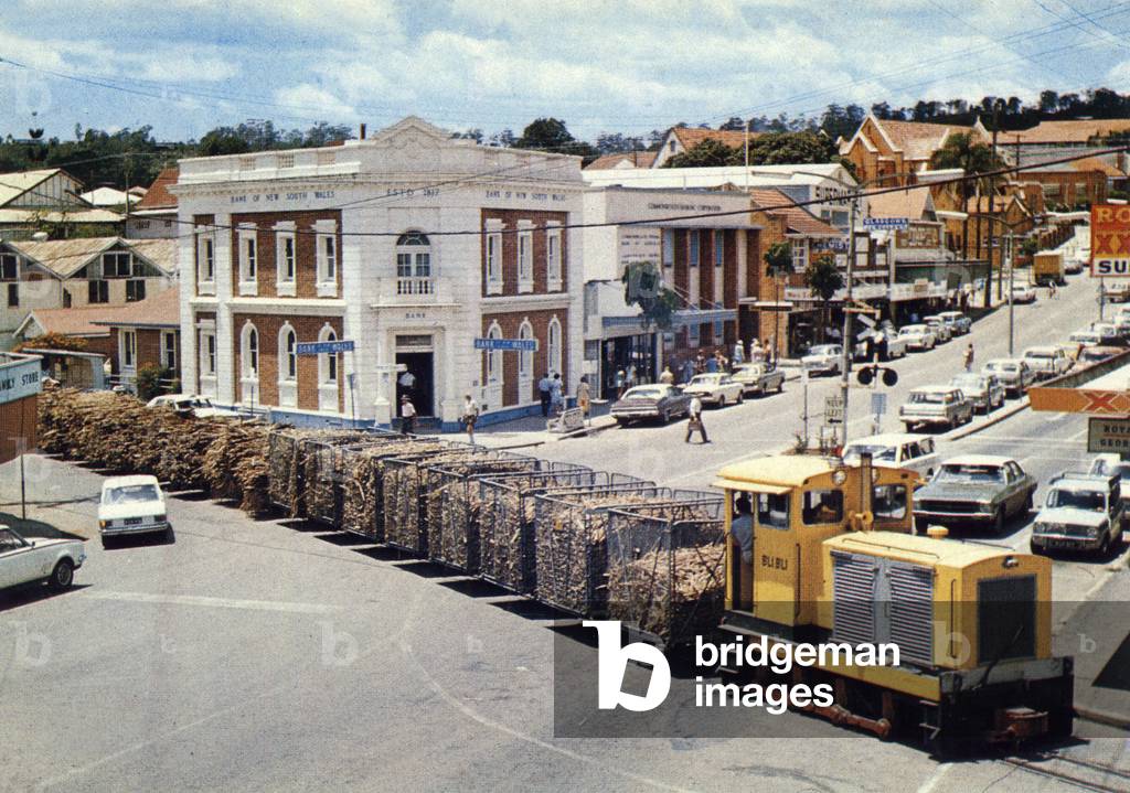 Nambour, Sunshine coast: sugar cane train, c. 1975 (poscard)