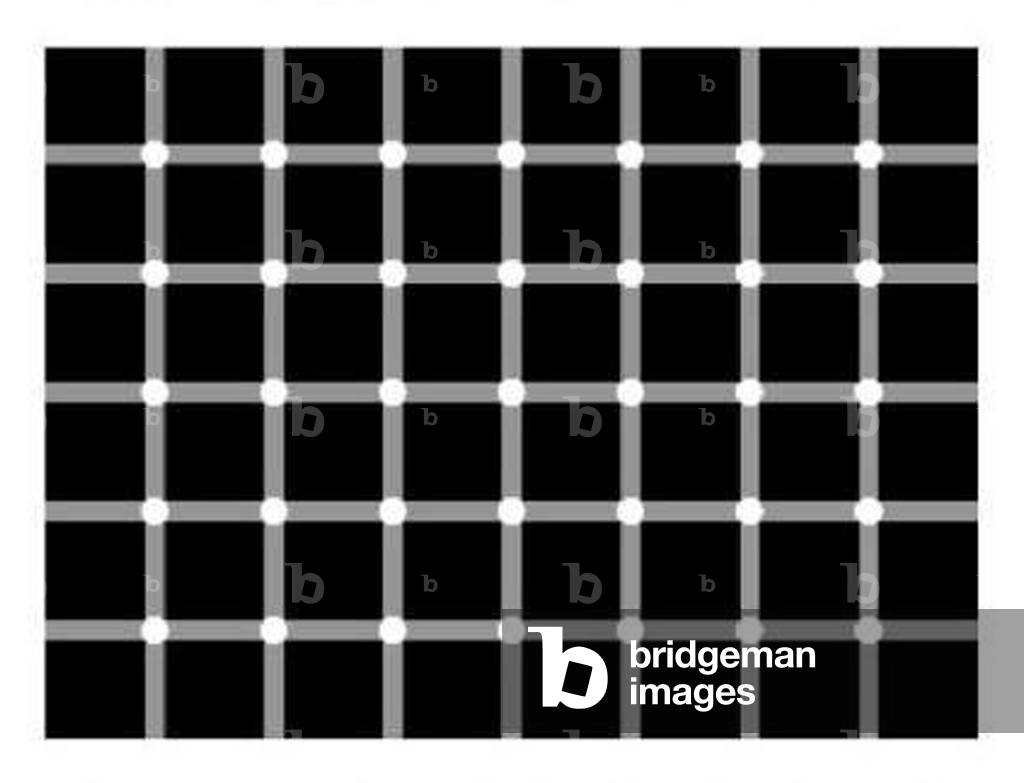 White cross-ruling on a black background, optical illusion, kinetic art