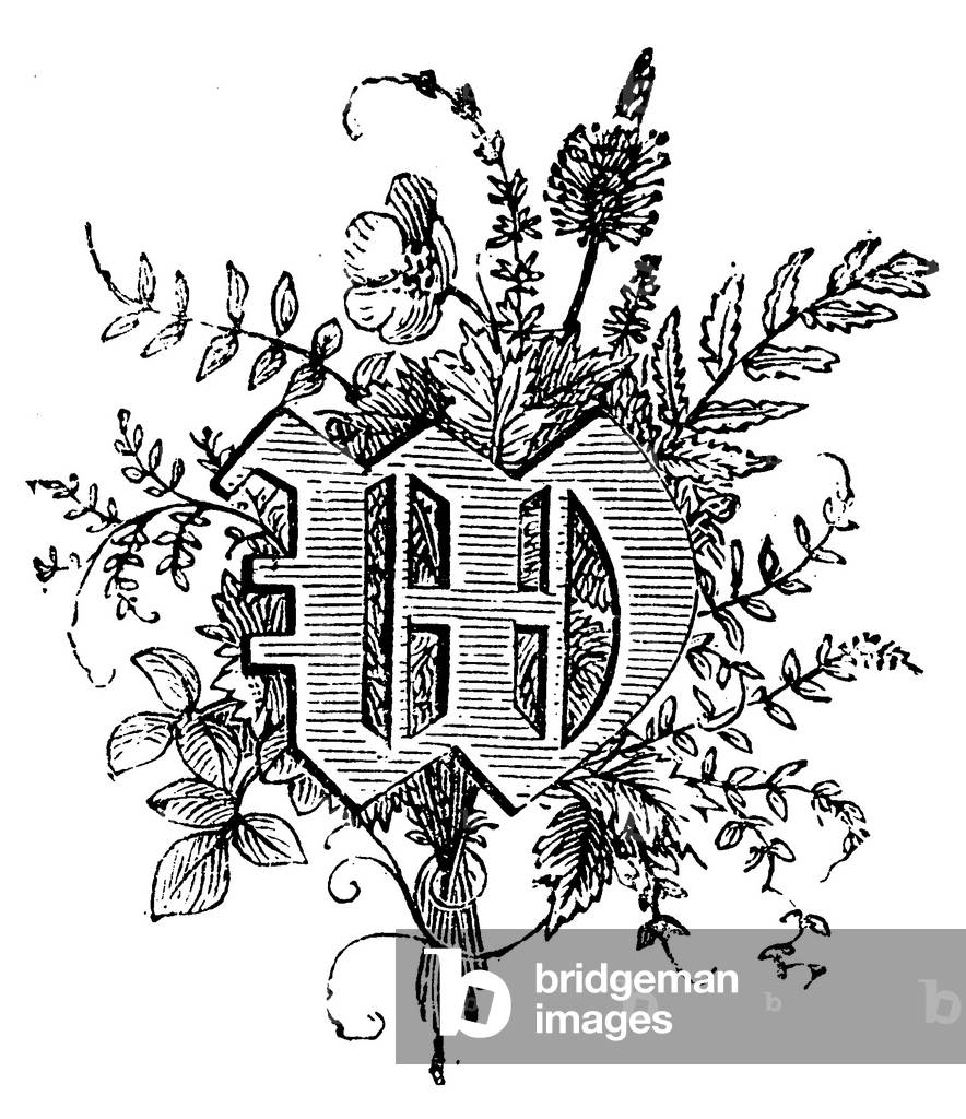 Alphabetic character, letter W