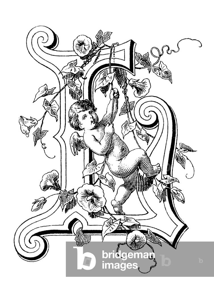 Alphabetic character, letter L, cupid