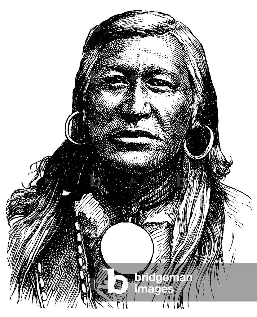 Portrait of a Shoshone of America