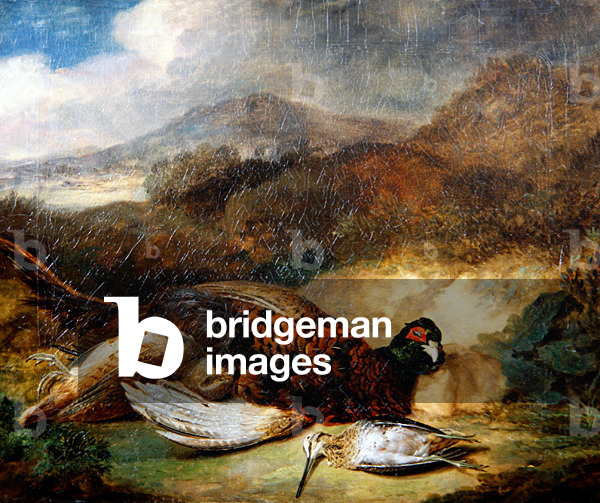 Pheasant and Woodcock in a Country Landscape (oil on canvas)