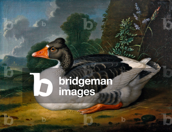 Eine Gans in einer Landschaft (öl auf leinwand)