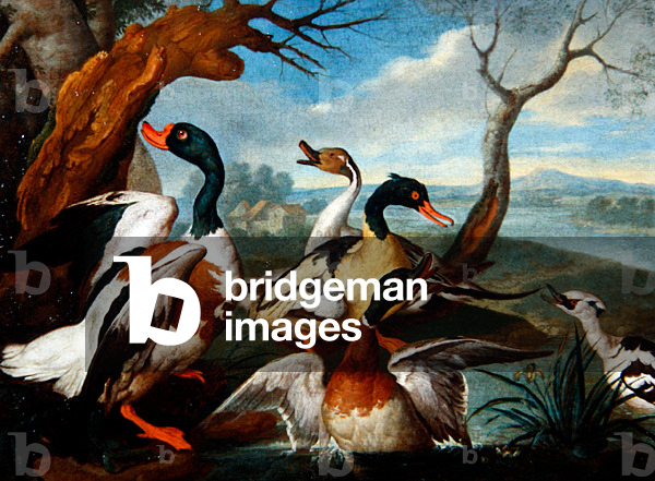 Ducks in a River Landscape (oil on canvas)