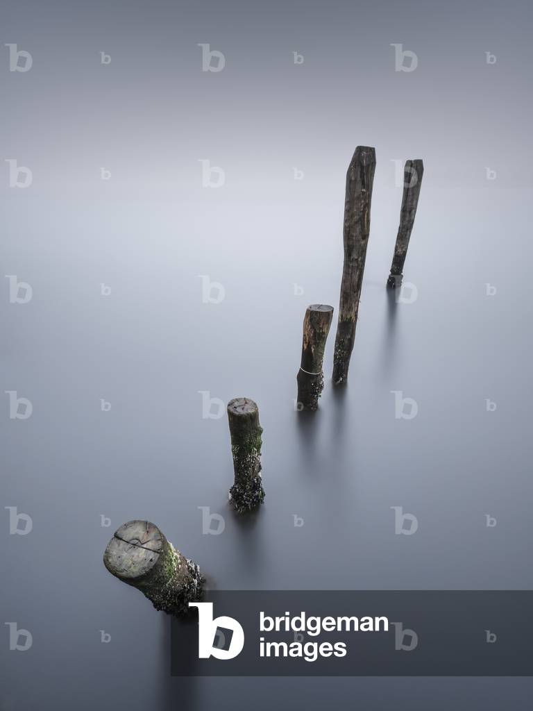 Cinque, Venice, Italy, 2017 (photo)