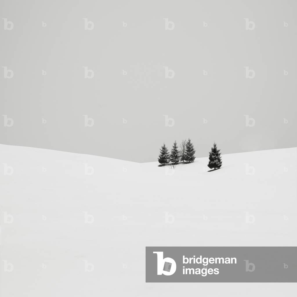 Snowscapes - Almost there, Oberstaufen, Germany, 2013 (b/w photo)