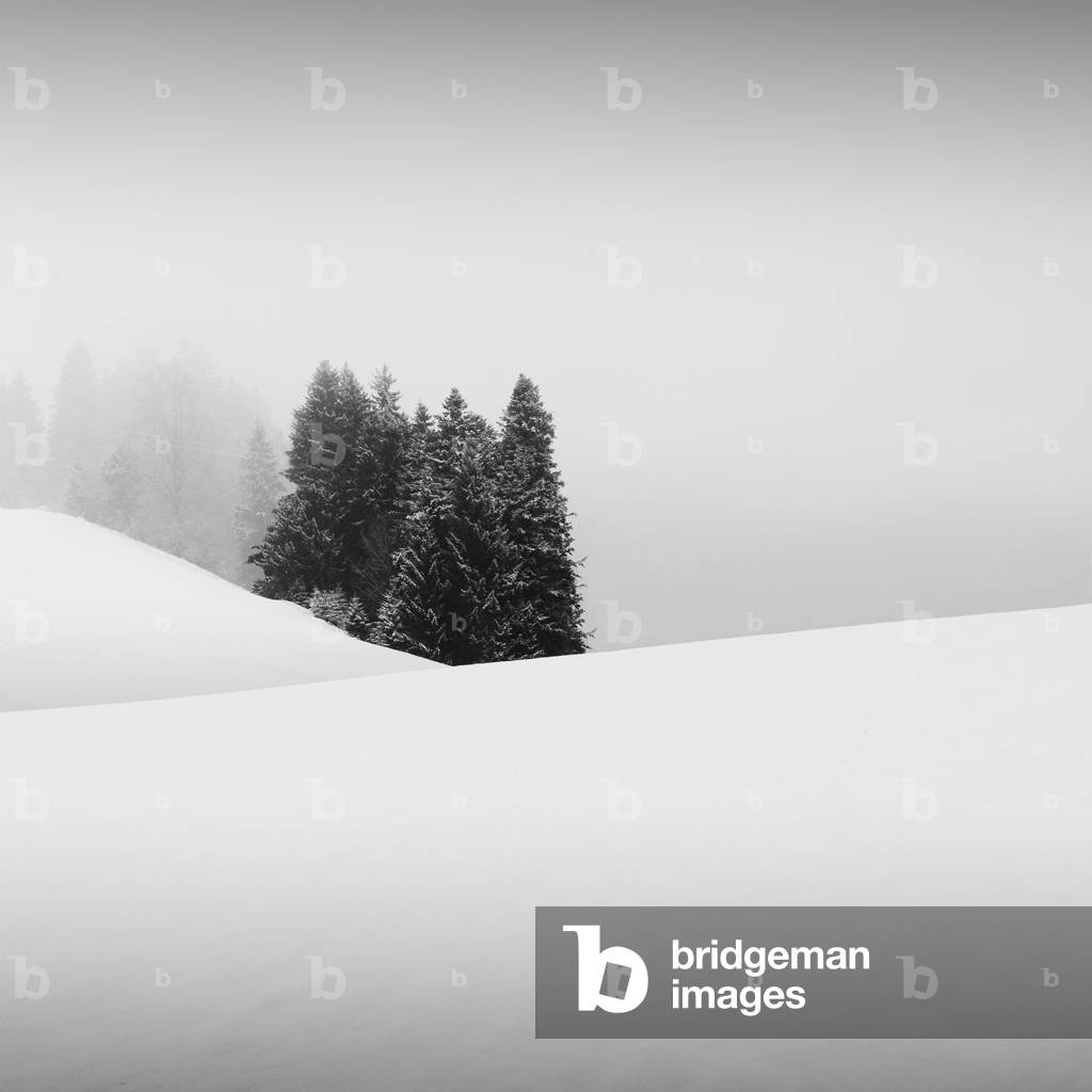 Snowytales Oasis, Bavaria, Germany, 2013 (b/w photo)